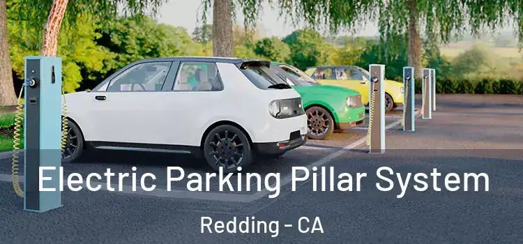  Electric Parking Pillar System Redding - CA