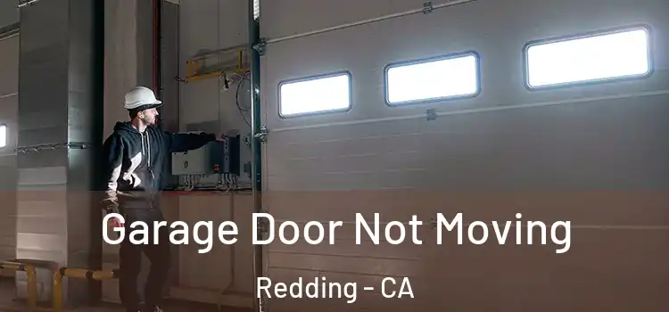  Garage Door Not Moving Redding - CA